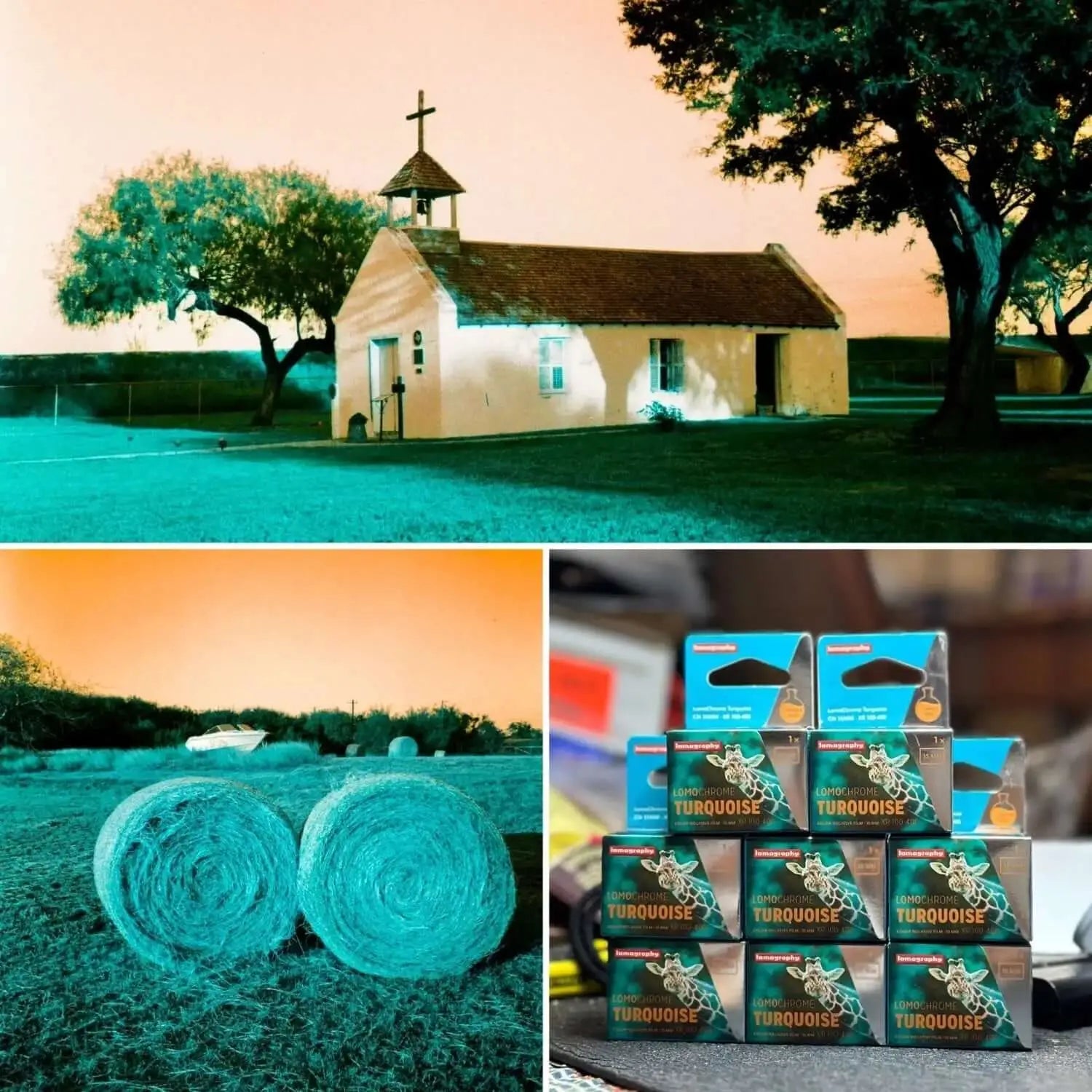 Turquoise-colored film cartridges in blue and green packaging with a white giraffe design