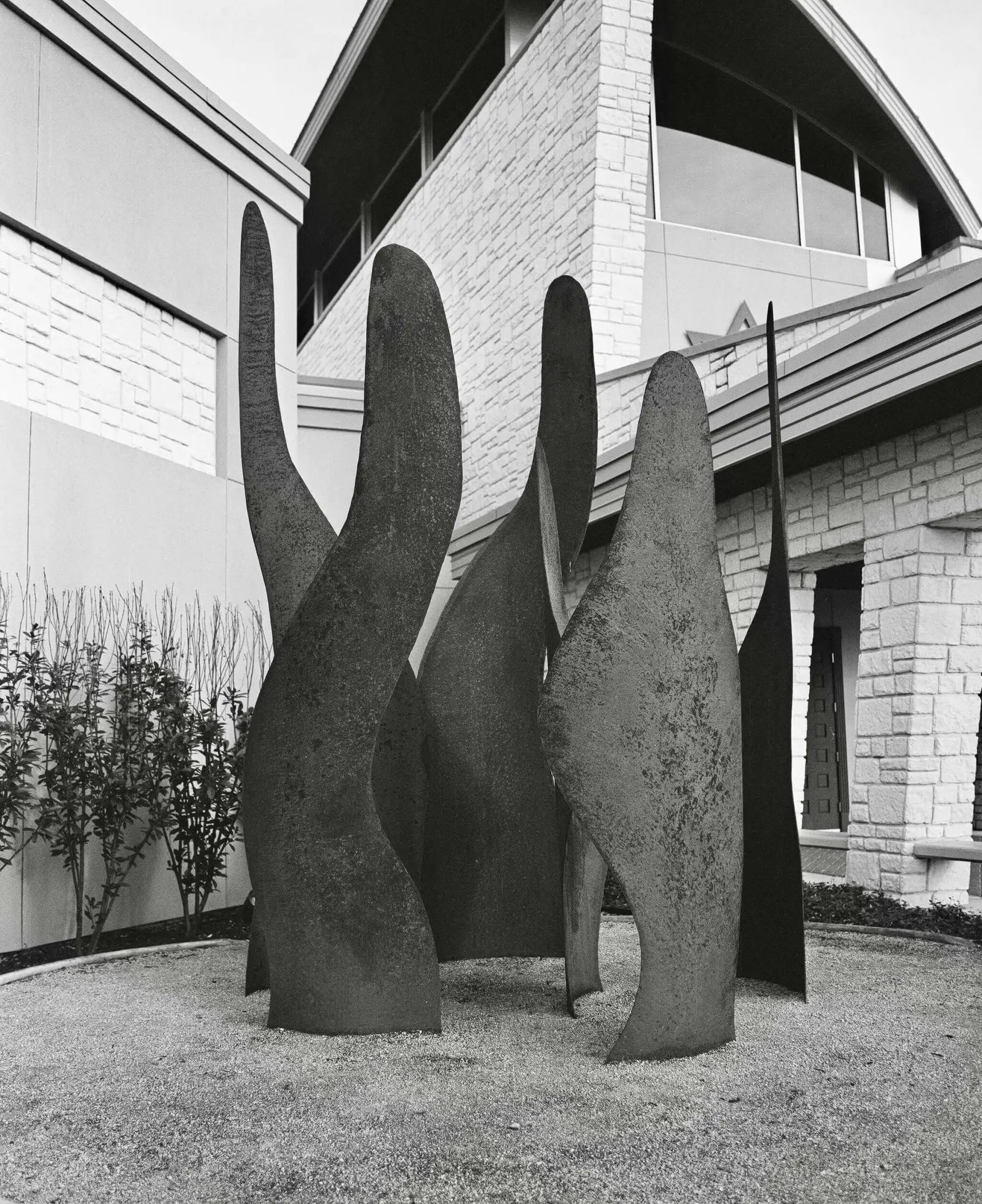 Abstract steel sculpture with flowing, organic forms and a weathered texture.