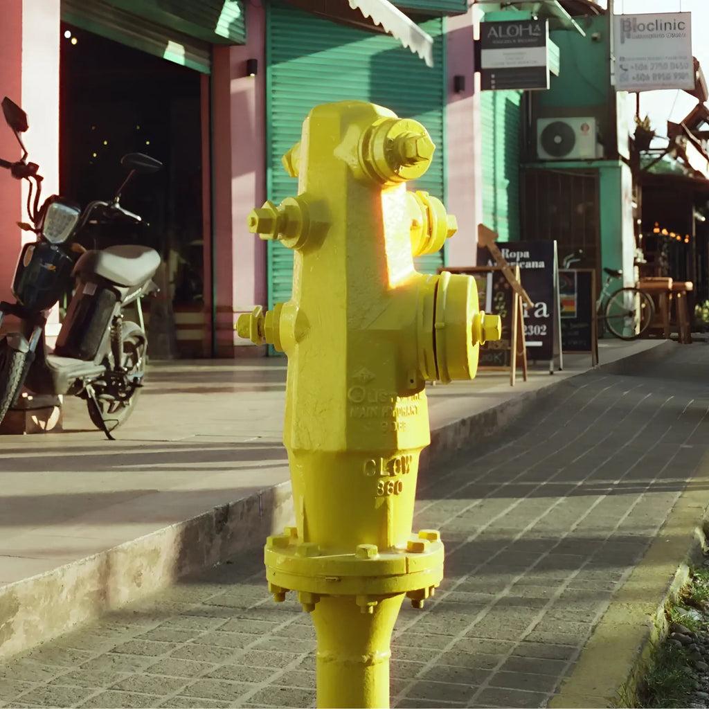 Bright yellow fire hydrant with metallic finish and bolted caps shown on candido c41 color 400 iso 35x36 35mm color negative film