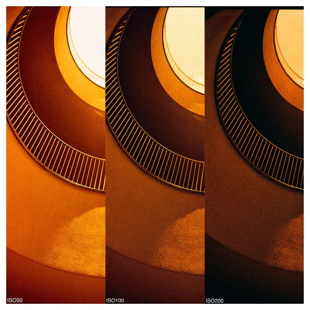 Película Reflx Lab Diablo 100 Red Scale 35x36