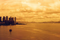 Película Reflx Lab Diablo 100 Red Scale 35x36